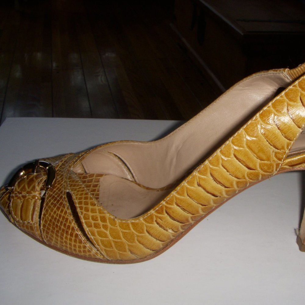 Arturo Chiang strappy pump heels